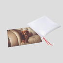 puzzle with satin bag