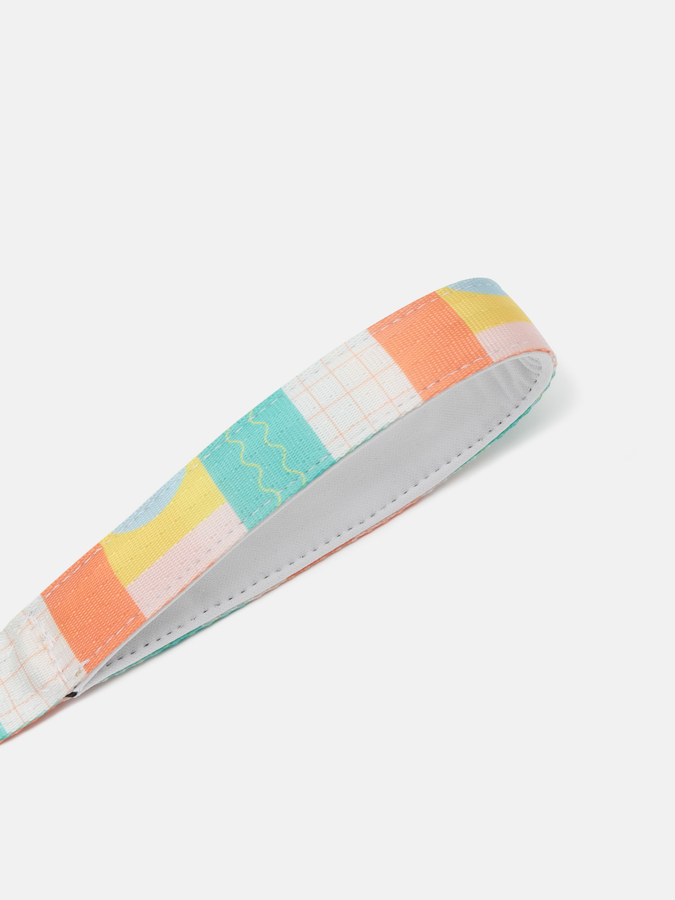 correa de poliester para perros personalizada