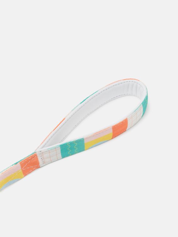 dog leads made and printed being shown next to a ball for size