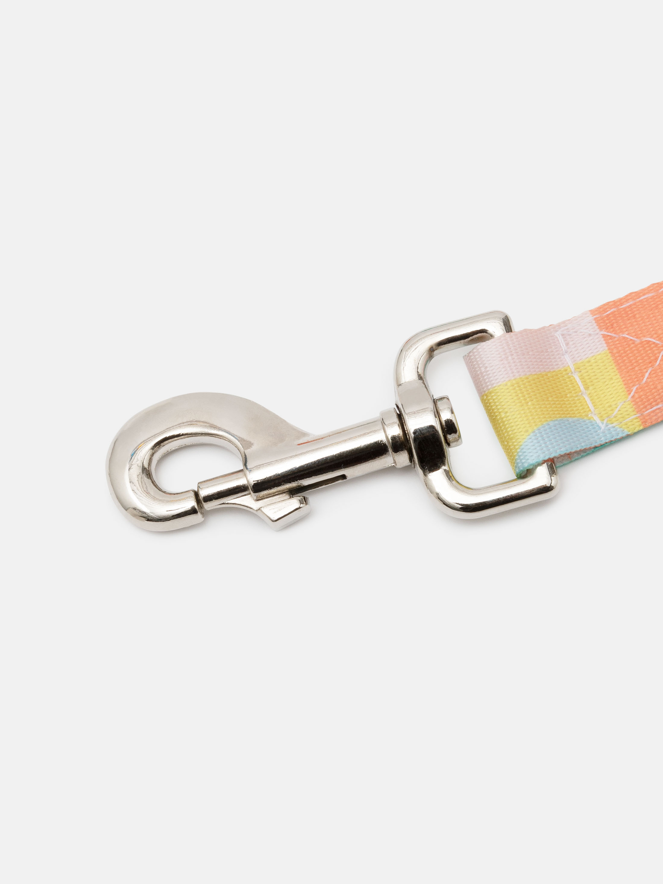 gepersonaliseerde hondenriem van gevlochten polyester sluiting