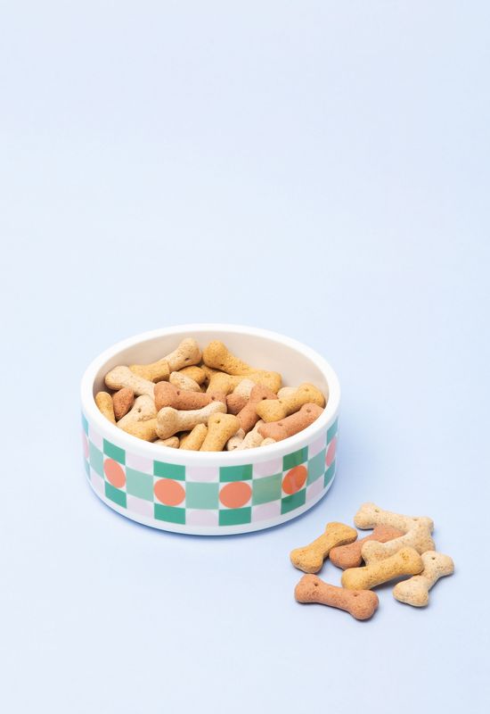 Covered dog food sales bowls