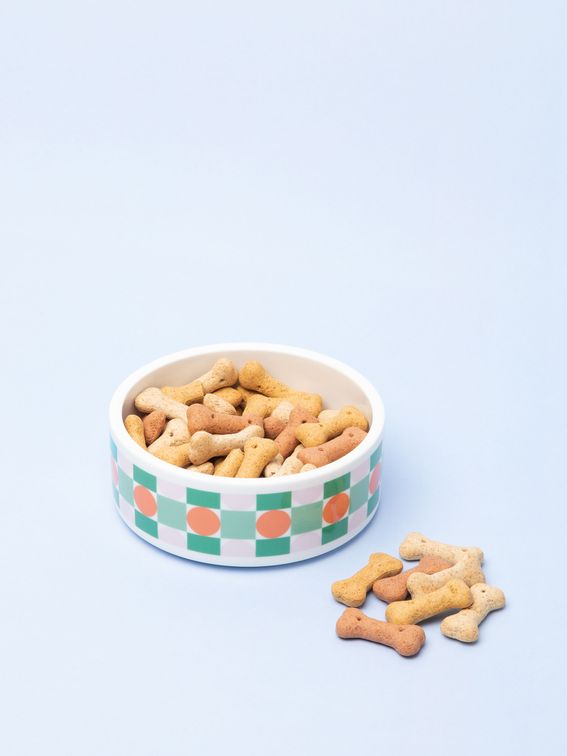 Gamelle pour chat personnalisée avec nom