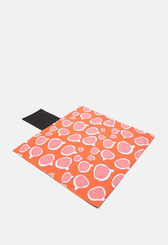 Picnic blanket print hotsell