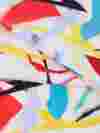custom Plush Velvet fabric printing