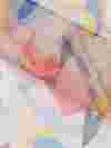 Tela organza estampada online