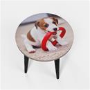 custom side table puppy photo