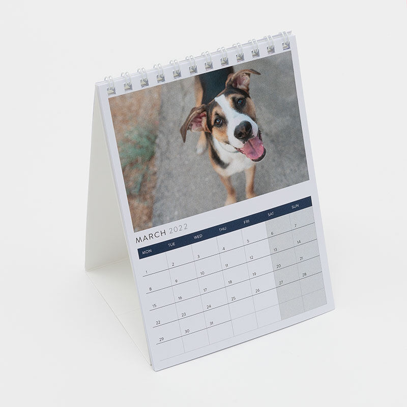 Personalised dog outlet calendar