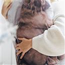 Personalised Christmas Pet Photo Pillowcase