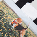 custom canvas tote bag