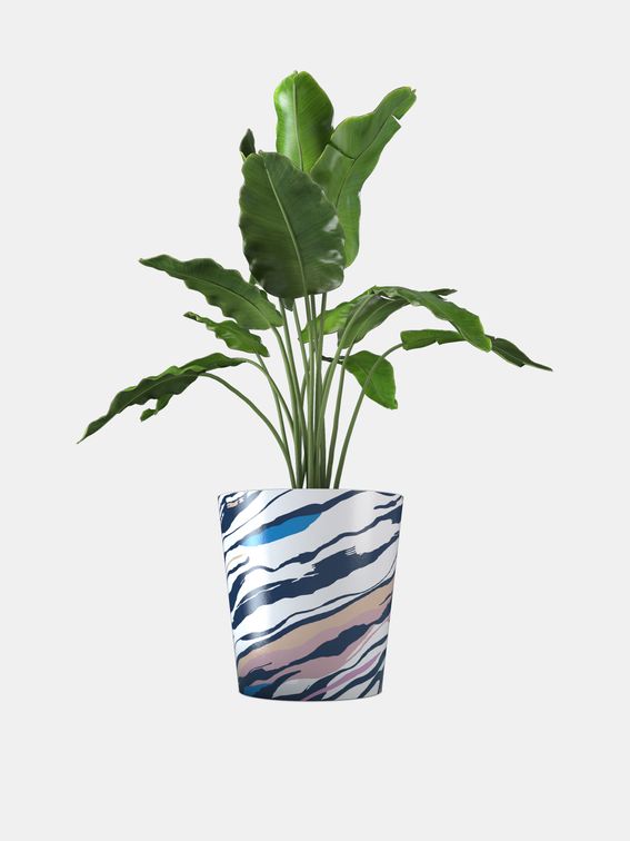personalised indoor plant pot