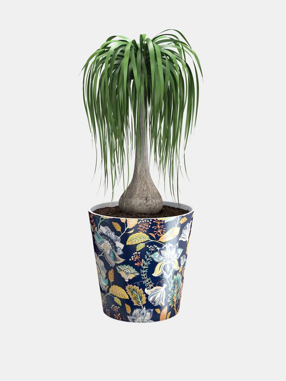 personalized ceramic plant pots