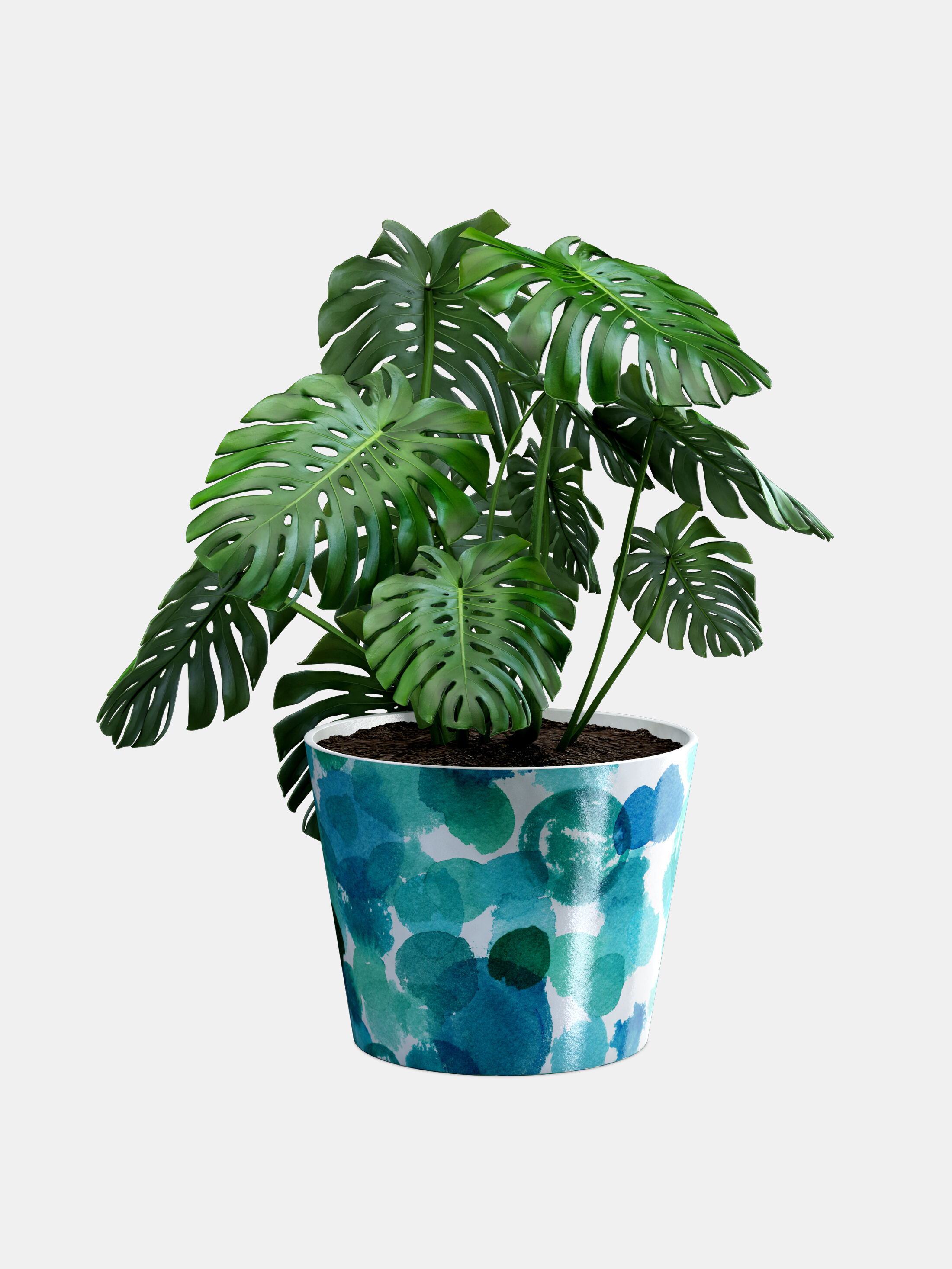 Flower pots online