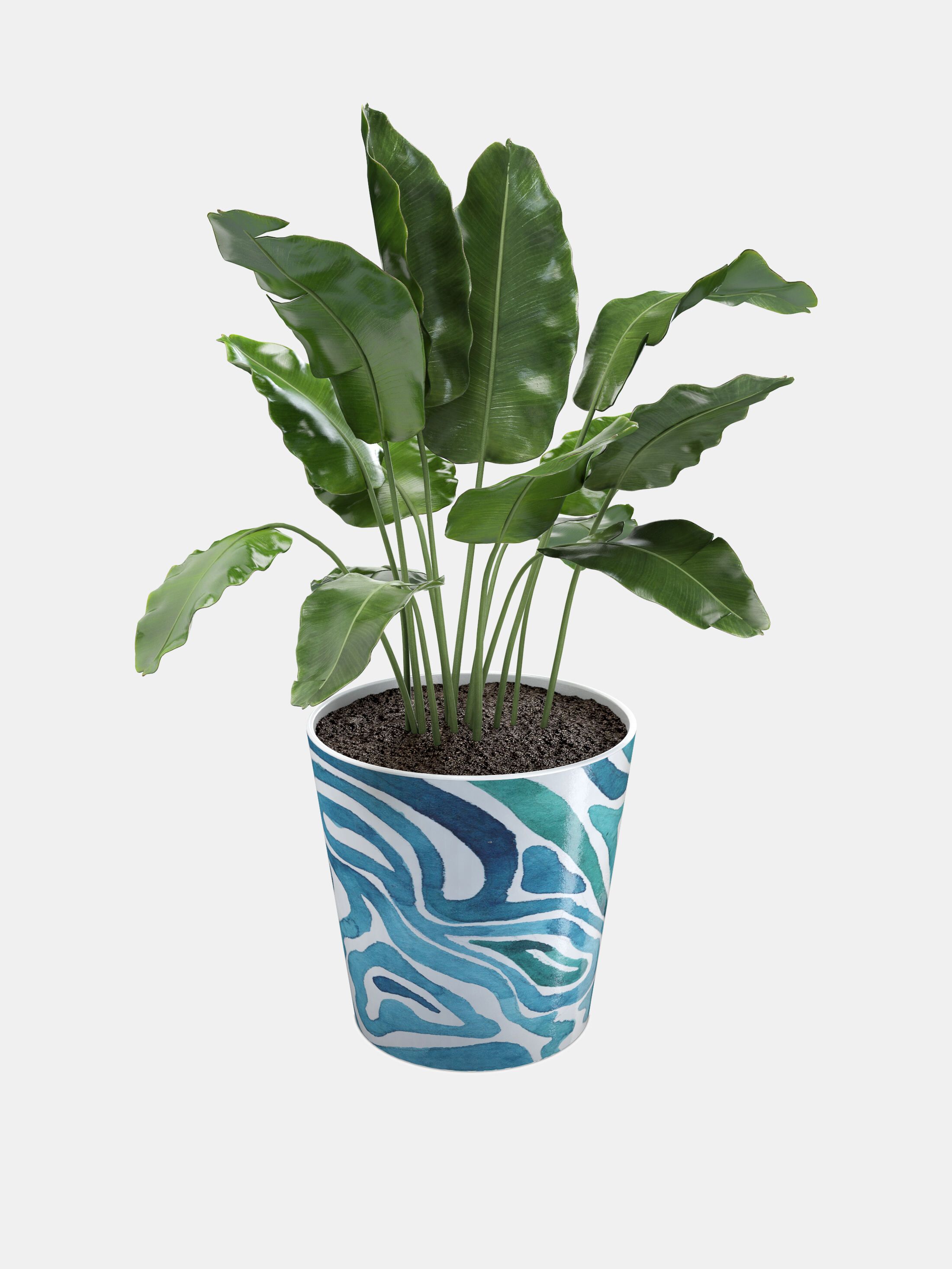 Custom Plant Pots  Create Personalized Flower Pots