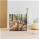 Acrylglas Foto gestalten Angebot