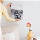 black and white canvas prints