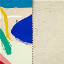 Kundenspezifisches Ananasleder