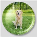 custom wall decor plates