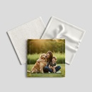 photo cocktail coaster