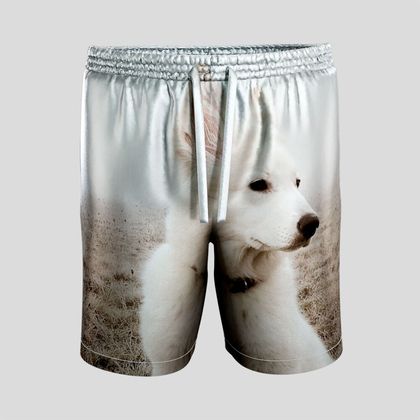 Mens Riviera Shorts