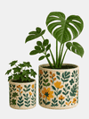 custom plant pots