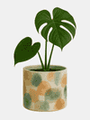personalised plant pot