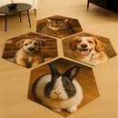 personalized hexagon shaped rugs