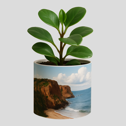 Personalised Plant Pot