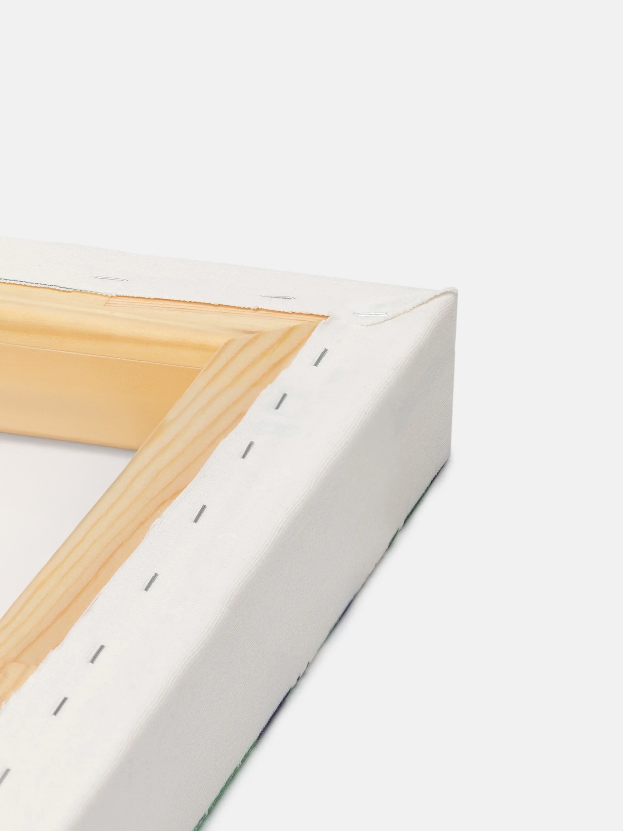 canvas frame detail