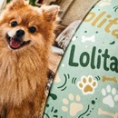 Customise my panel pillow