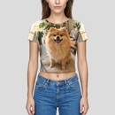 Personalised Photo Women's Baby T-Shirt